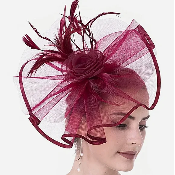 Elegant High Fashion Feathers & Lace Veil Fascinator Kentucky Derby Tea … Kentucky Derby Fascinator Hat For Women Laides Elegant Wide  main image 4